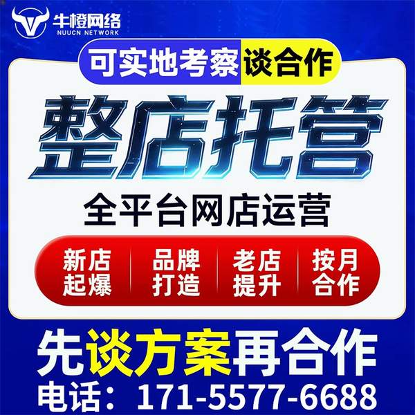 海拉尔电商代运营