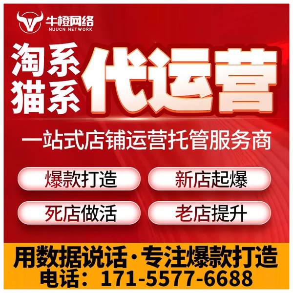海拉尔电商代运营
